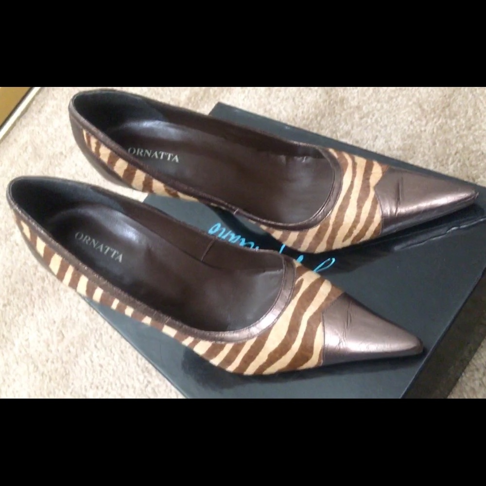 Scarpan Ornata from Brazil.